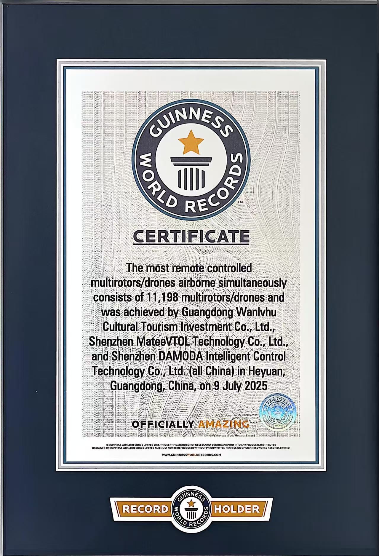 11,198 Guinness World Records